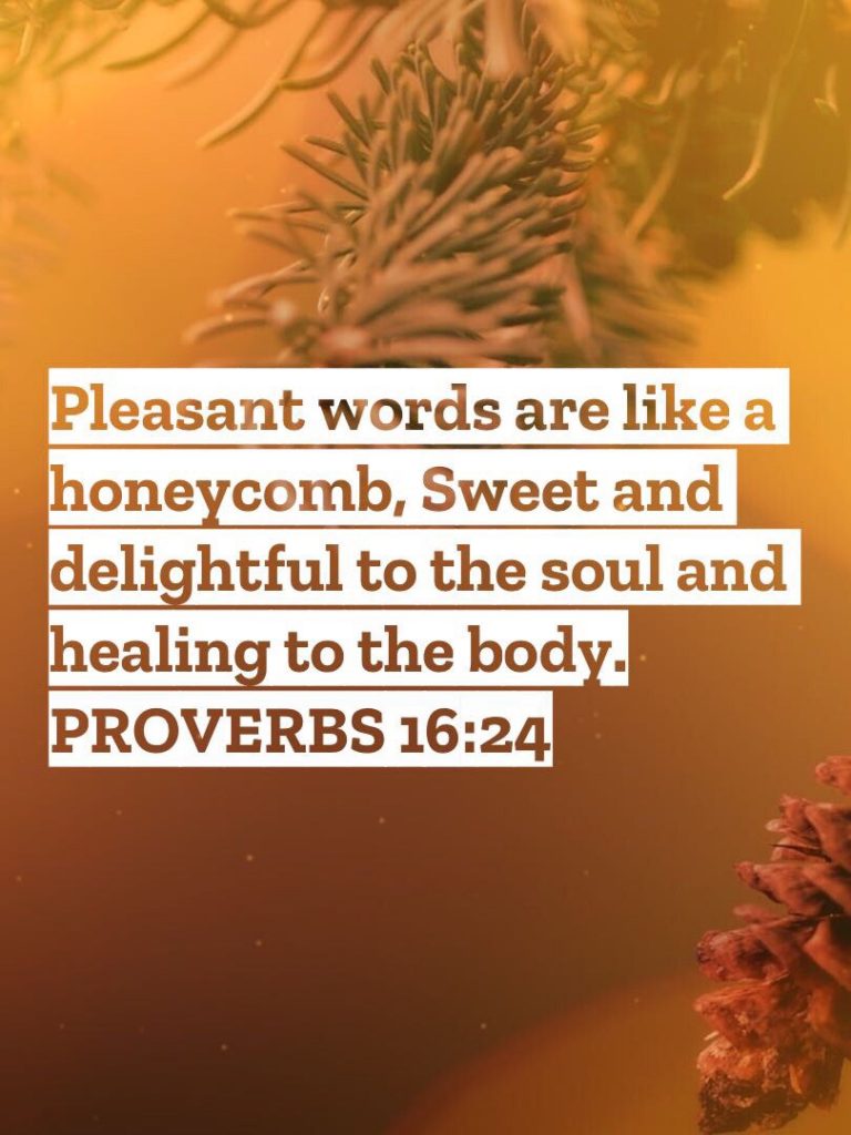 Proverbs 16:24